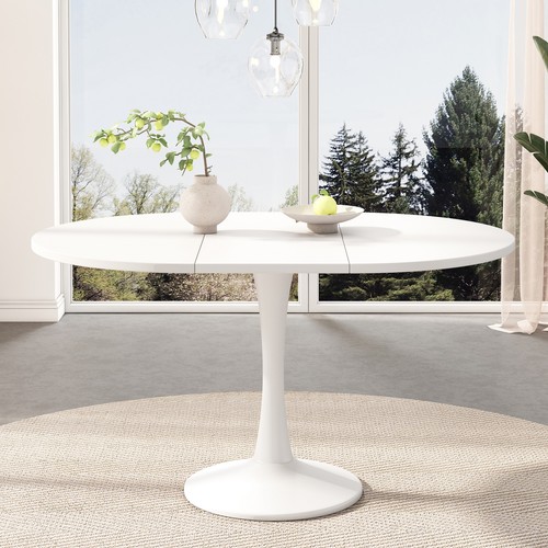 White round oval - round/oval, extendable
